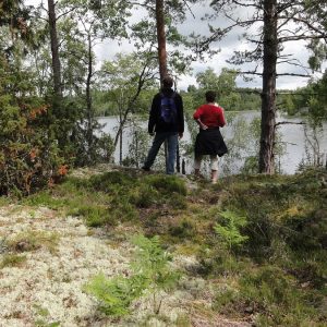Locally adapted concepts promote biodiversity in Europe’s forestry: new anthology published