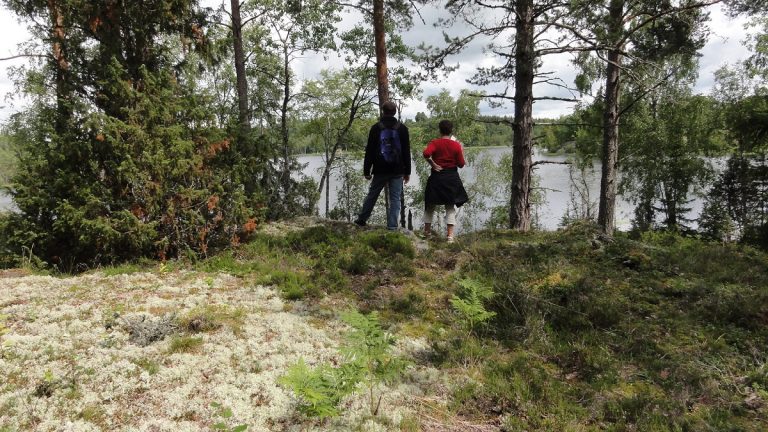Locally adapted concepts promote biodiversity in Europe’s forestry: new anthology published