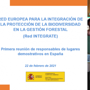 First National Meeting of Integrate Network in Spain