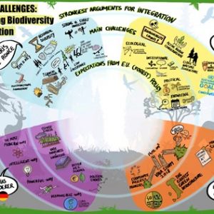 Summary of Webinar “Policy challenges of integrating biodiversity conservation in forest management”