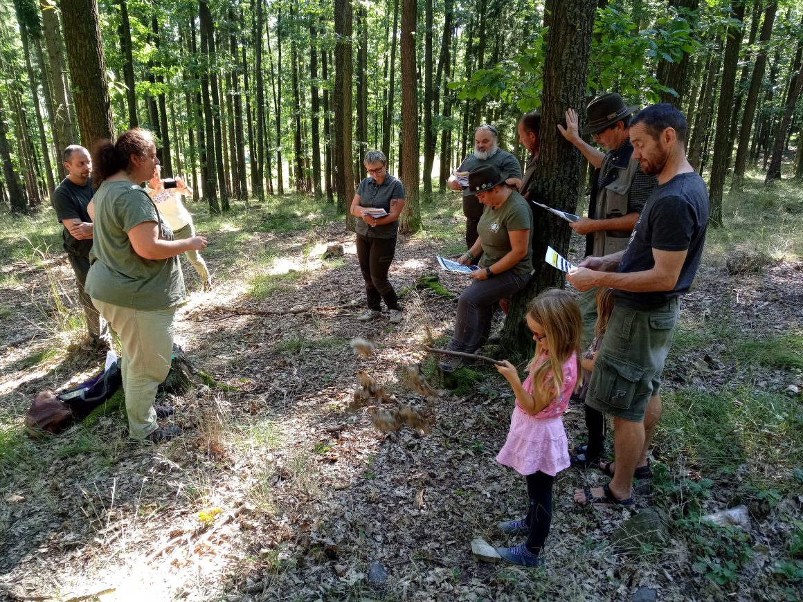 Secondary forestry schools collaborating with Marteloscopes in the Czech Republic