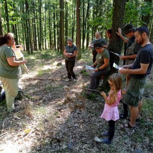Secondary forestry schools collaborating with Marteloscopes in the Czech Republic