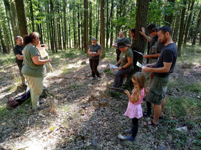 Secondary forestry schools collaborating with Marteloscopes in the Czech Republic