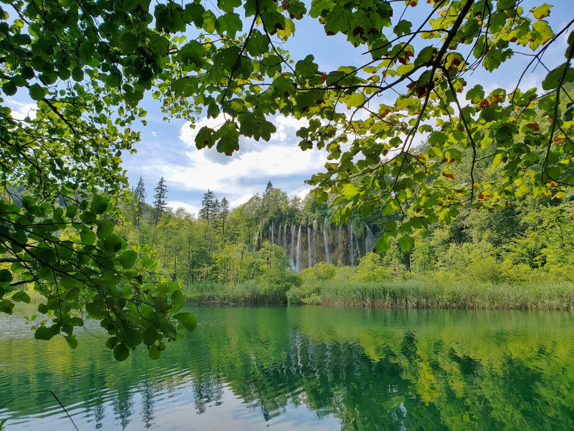 New procedures in Croatian Forest Management