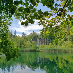 New procedures in Croatian Forest Management