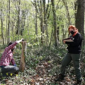 First study on tree microhabitats using Marteloscope methodology in Turkey