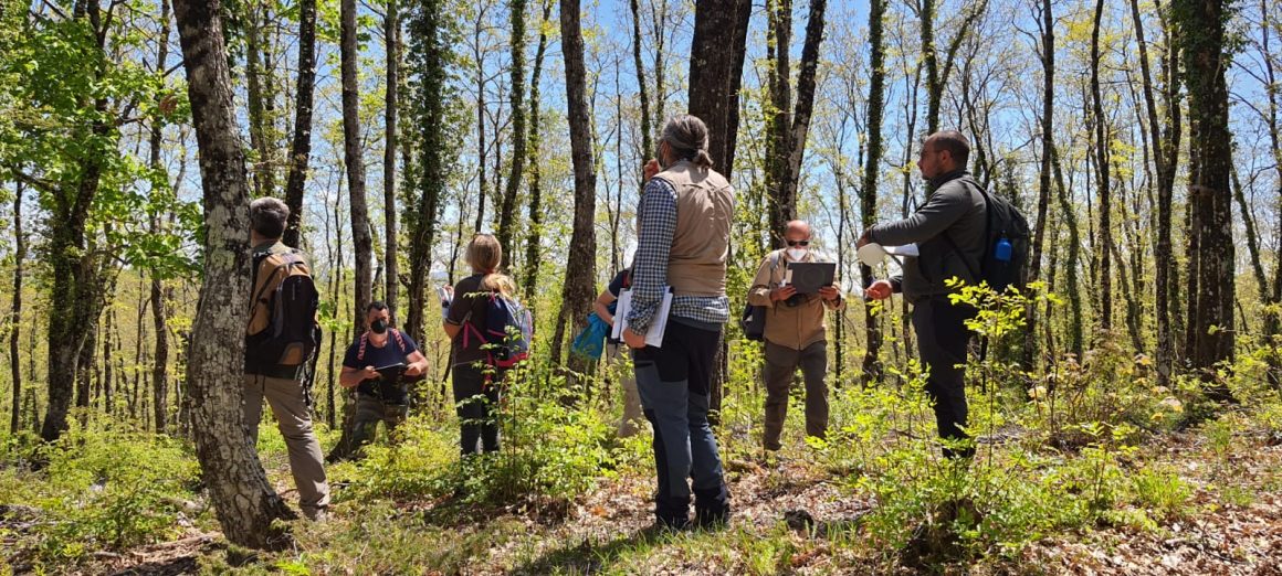 More than 200 forest stakeholders trained in Italian marteloscope