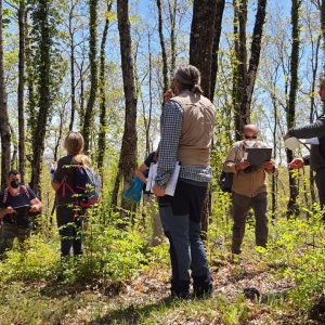 More than 200 forest stakeholders trained in Italian marteloscope