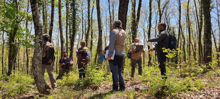 More than 200 forest stakeholders trained in Italian marteloscope