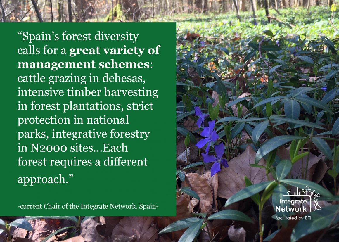 Commitments towards Sustainable Forest Management