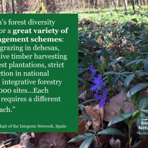 Commitments towards Sustainable Forest Management