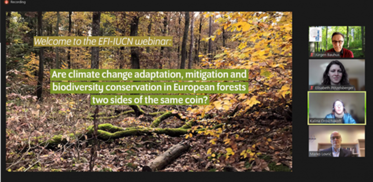 Webinar Recap – Climate change adaptation, mitigation and biodiversity conservation in European forests