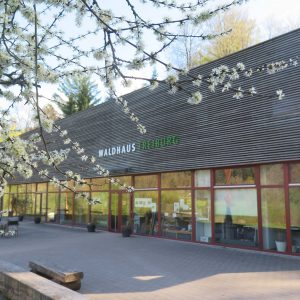 Why should we all learn to think like foresters