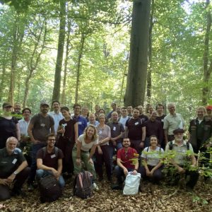 Improving forest resilience and enhancing biodiversity in European Forests:  findings, experiences, and prospects