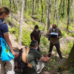 Using Marteloscopes to analyze public’s perceptions on forests