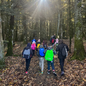 Young students learn how to integrate biodiversity conservation into multifunctional forest management
