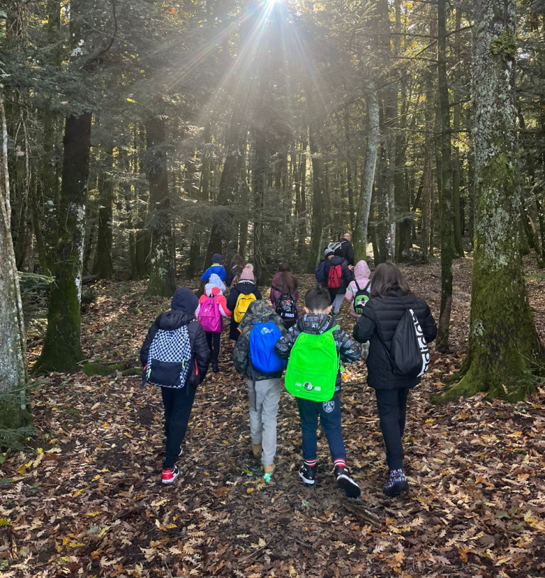 Young students learn how to integrate biodiversity conservation into multifunctional forest management