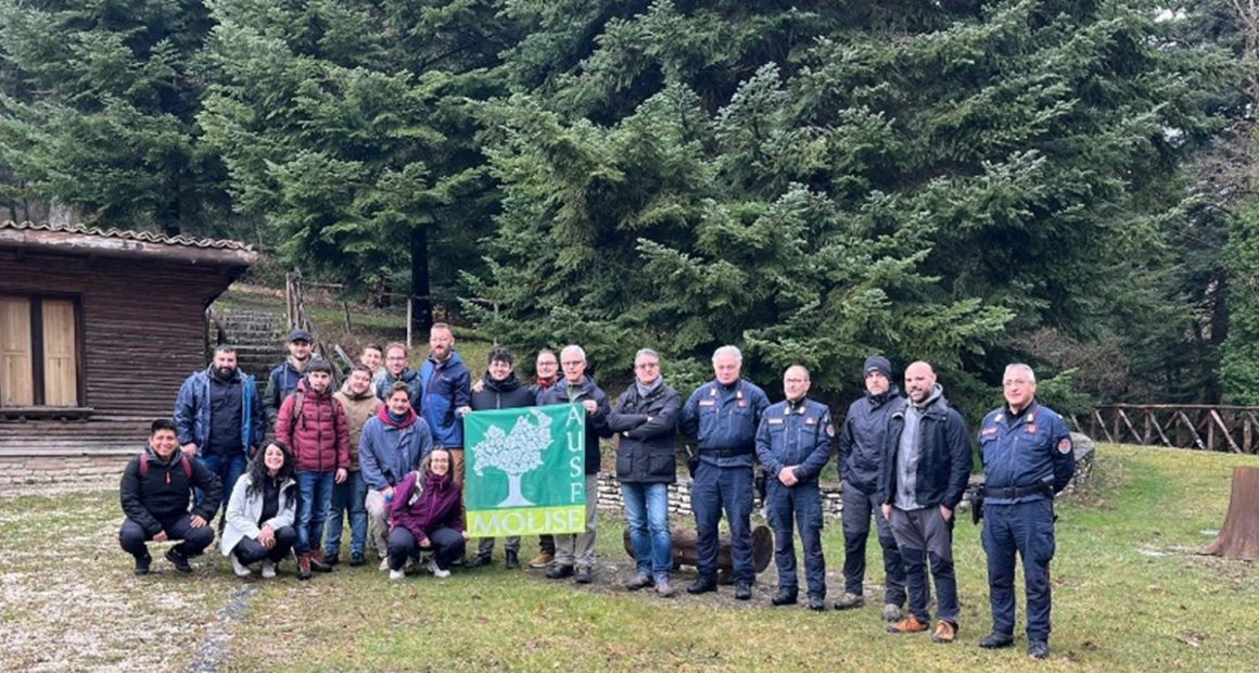 Discussions on Mediterranean mixed forest silvicultural scenarios: the Collemeluccio Marteloscope
