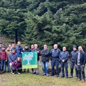 Discussions on Mediterranean mixed forest silvicultural scenarios: the Collemeluccio Marteloscope