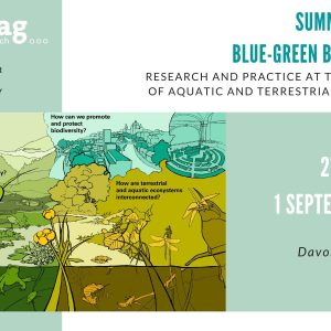 Summer school: Blue-green biodiversity. Research and practice and the interface of aquatic and terrestrial ecosystems