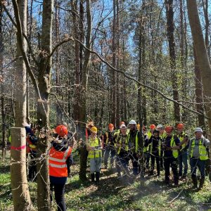 Teagasc Forestry Development Department (FDD) organises 6 “marteloscope” workshops in Oak Park forest