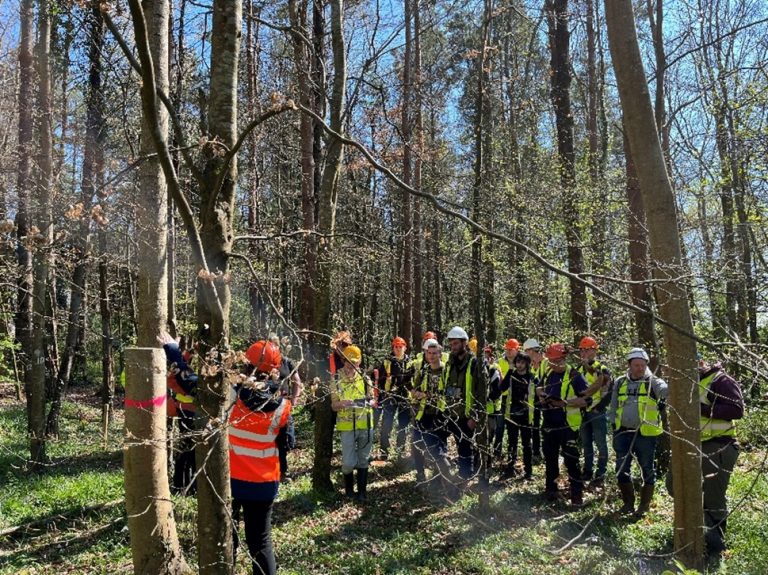 Teagasc Forestry Development Department (FDD) organises 6 “marteloscope” workshops in Oak Park forest