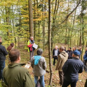Why Integrative Forest Management requires integrative solutions