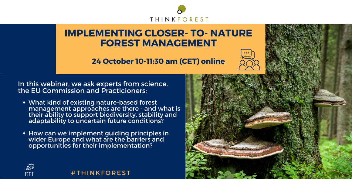 Implementing Closer-to-Nature Forest Management -ThinkForest Webinar Announcement