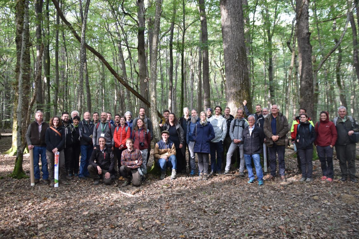 Exploring the forests of Luxembourg during the 9th Annual Meeting of the Integrate Network: A Journey about Forest Resilience- and Conservation