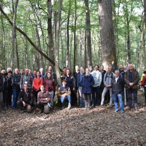 Exploring the forests of Luxembourg during the 9th Annual Meeting of the Integrate Network: A Journey about Forest Resilience- and Conservation