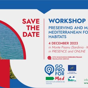 Registration open: Workshop on preserving and managing Mediterranean forest habitats