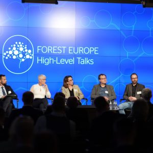 Take-home messages from the Forest Europe High-Level Talks 2023