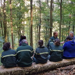 Navigating the changing climate: a new study on how practitioners tackle adapting forests to climate change