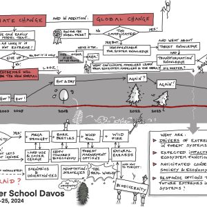 Summer School 2024 – “Forests and Extremes: Crisis or Transition?”