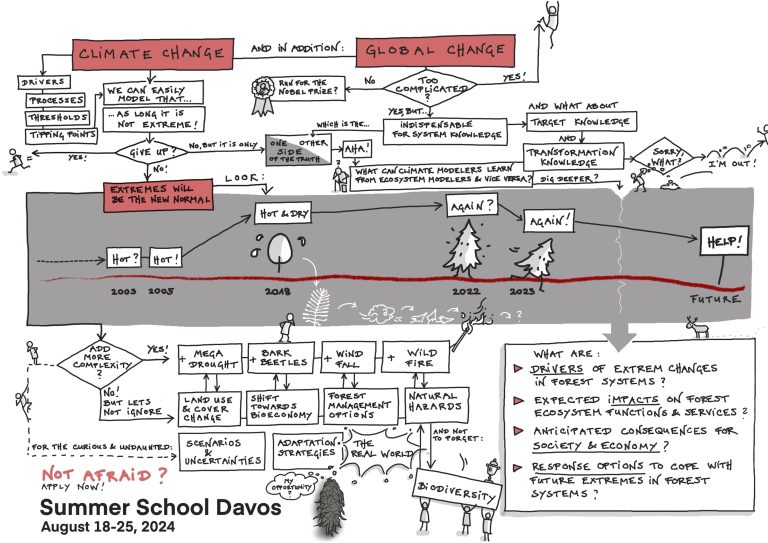 Summer School 2024 – “Forests and Extremes: Crisis or Transition?”