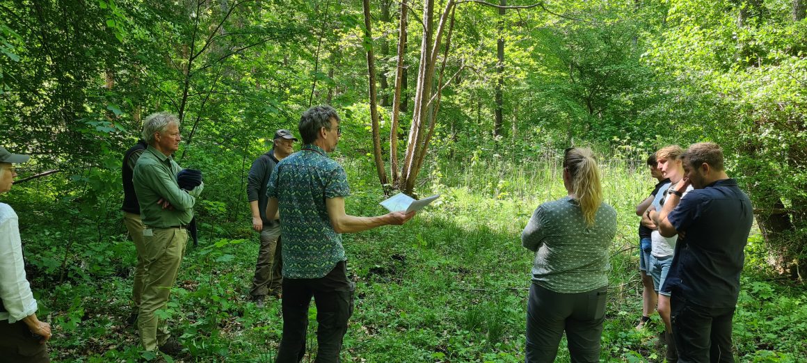 Five fact sheets about biodiversity measures in managed forests