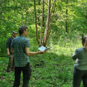 Five fact sheets about biodiversity measures in managed forests