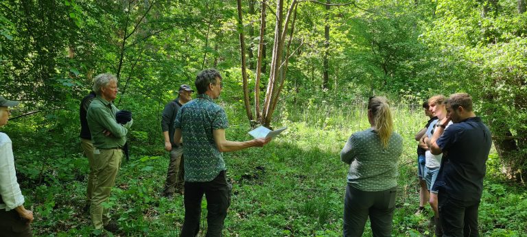 Five fact sheets about biodiversity measures in managed forests