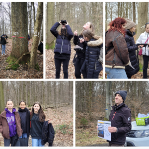 Same trees, different perspectives: using a marteloscope to present forests in a new light