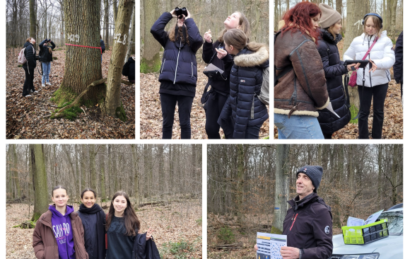 Same trees, different perspectives: using a marteloscope to present forests in a new light