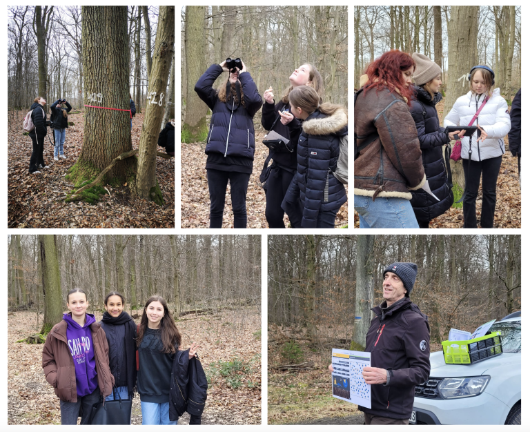 Same trees, different perspectives: using a marteloscope to present forests in a new light