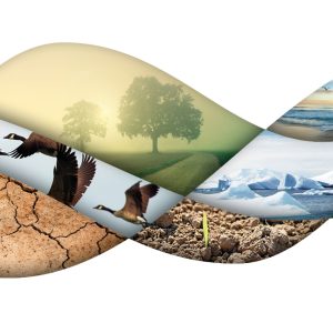 ‘10 Must-Knows’ as guide for preserving biodiversity  