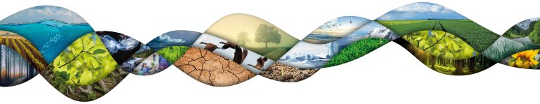 ‘10 Must-Knows’ as guide for preserving biodiversity  