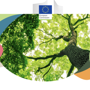 Guidelines on ‘Closer-to-Nature Forest Management’ now available in all EU languages