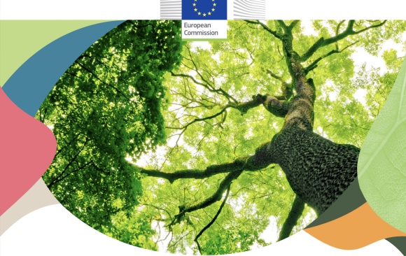 Guidelines on ‘Closer-to-Nature Forest Management’ now available in all EU languages