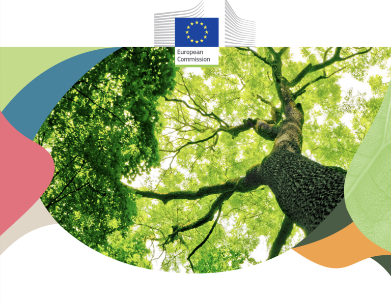 Guidelines on ‘Closer-to-Nature Forest Management’ now available in all EU languages
