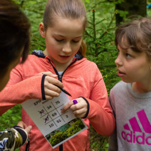 An outdoor classroom in the forest: new “marteloscope” educational site inaugurated in Ljubljana