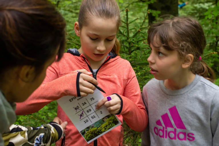 An outdoor classroom in the forest: new “marteloscope” educational site inaugurated in Ljubljana
