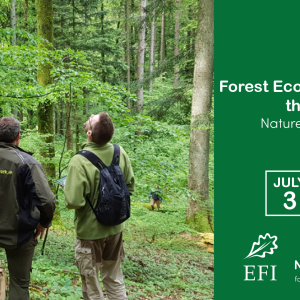 INTEGRATE WEBINAR: Forest Ecosystem Resilience through Biodiversity – Nature’s Insurance Policy in a Changing World
