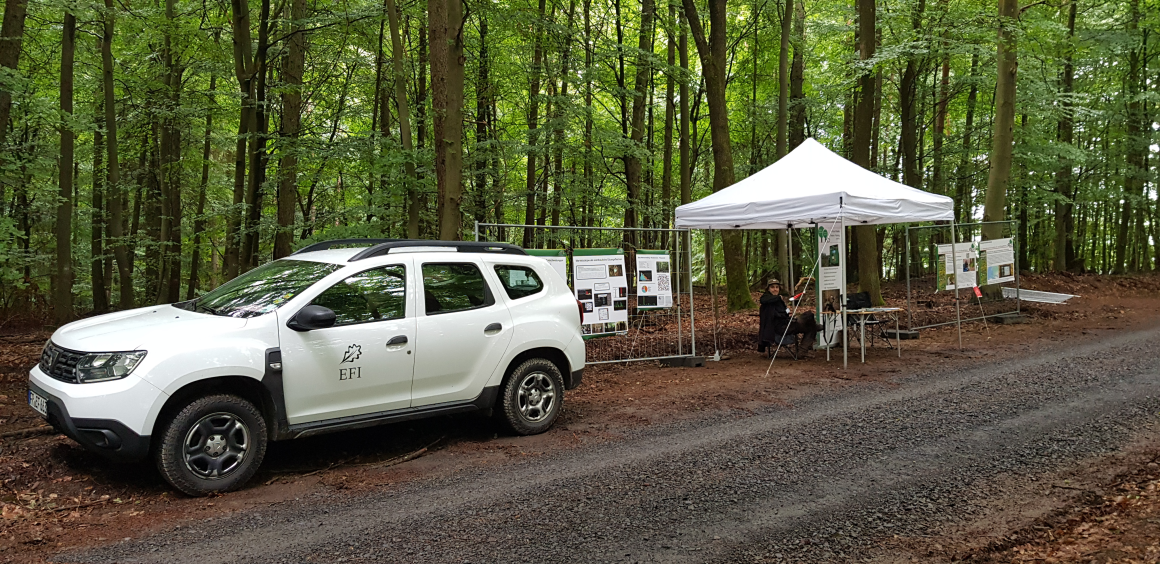 Experiencing Forestry at the KWF Fair 2024!  